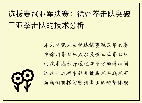 选拔赛冠亚军决赛：徐州拳击队突破三亚拳击队的技术分析